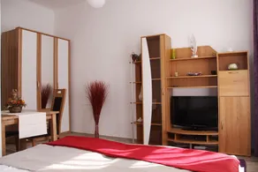 Vienna Star Apartments - Buchengasse - Image 3