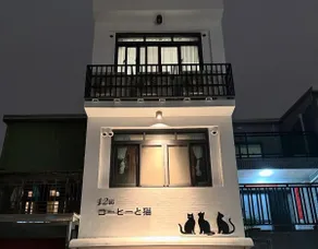 Nekoya網紅咖啡貓咪屋／寵物友善 - Image 5