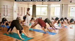 Vedic Hatha Vinyasa Yoga Ashram - Image 5