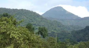 Abimon Residency Kollur - Image 4