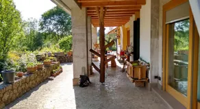 Il giuggiolo - Image 3