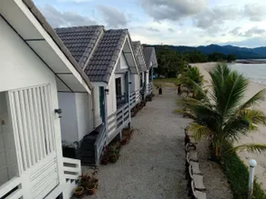 Langkawi Primrose - Image 3