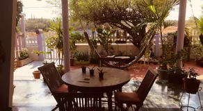 Magical Garden - Image 5