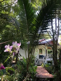 Forest House at Koh Yao Noi - Image 5