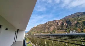 Pitla Cuna - Eco Relais - Image 4