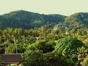 Tropical Sands - Image 3
