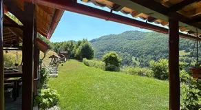 Casa cu Muscate - Image 5