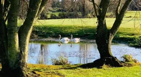 3 Bed Barn - Sleeps 4 - Parking - Golf - Alpacas - Image 5