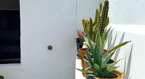 Casa MIALMA LANZAROTE - Image 5