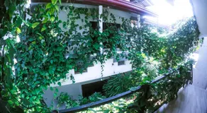 Mirissa Blue Whale Holiday Hotel - Image 3