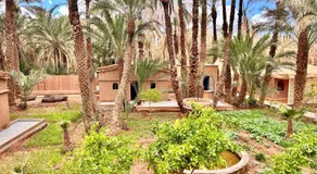 Serenity Lodge Zagora Guest House Restaurant & Desert Excursions - Image 2