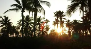Munroe Nest Homestay - Image 4