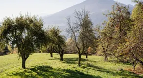 Gfohlerhof Brixen - Farm Holiday Panorama Apartments, Brixen Card, Air-conditioning & Yoga & Speck - Image 5