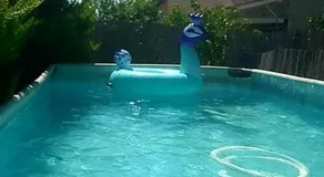 צימר ליד טבריה כנרת בגבעת אבני יחידות אירוח - Image 4