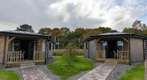 Wildlands Galway - Image 5