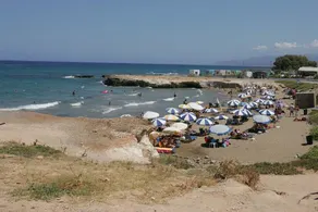 Sunshine Seaside Wing - Image 5