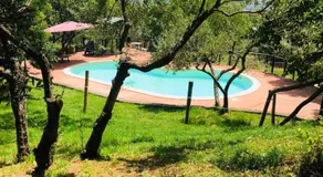 Il giardino dei mandorli Agriturismo - Image 3