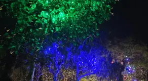 Hamai Grand Home Stay Rooms Wayanad - Image 3