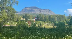 Sea View Cabin near Senja The Yellow House - Image 5