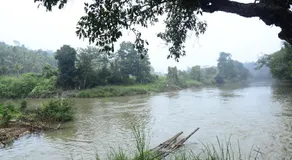 Greenways Tree House and Mud House - Image 3