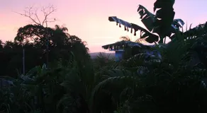 Sol Pacifico Lodge - Image 5