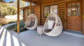 Charming Farm Stay w Fresh Eggs almost 2 Acres Near Tampa - Image 4