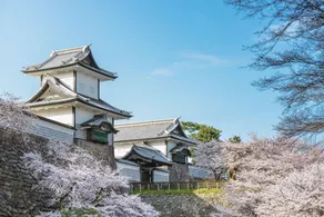 Ishikawa Prefectural Limited Plan Hosho Jushi w - Image 4
