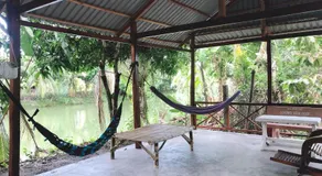 Hương Tràm Homestay - Image 3