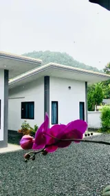 Mae On Bungalows - Image 2