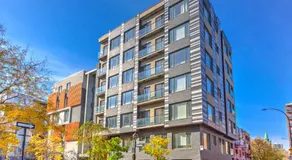 The Downtown Zando - Image 5