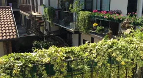 Casa La Ringhera - Image 4
