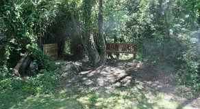Dogwood Cabin - Image 3