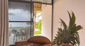 The Coco Paradise - Image 3