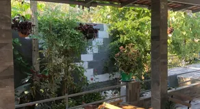 Mona's guesthouse - Image 4