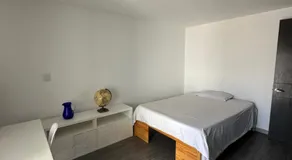 Suite Ejecutiva FINSA con Baño Privado y Parking - Image 2