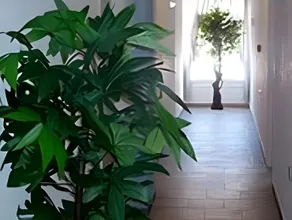 Halaris Rooms - Image 5