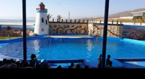 rico,s house pour famille et surfeur - Image 4