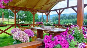 Leśny Domek - Image 2
