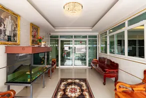 Tree Place - Image 3