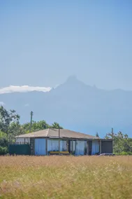 Ole lekurruki Naromoru  - Image 3