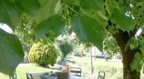 LA FERME JARLAN - Image 4