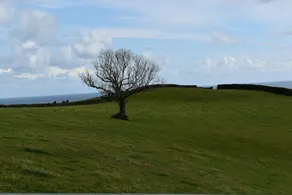 Frogwell - Image 5