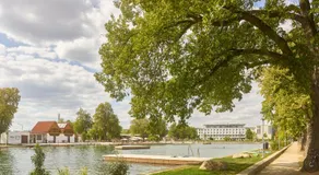 campus Horn - Image 5