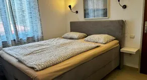 Apartment Olive Green - Image 2