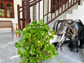 Radha Tourist Home - Image 4