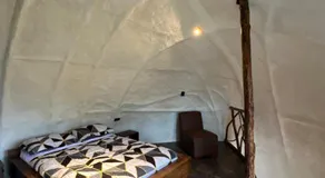 Animal Glamping - Image 2