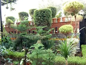 AVP House - Image 5