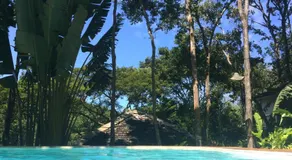 Trancoso Jungle Lodge - Image 4