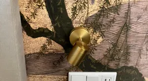 Gilded Ox Suites - Image 4