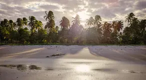 Senses Dimension - Ipioca Beach Suites - Image 1